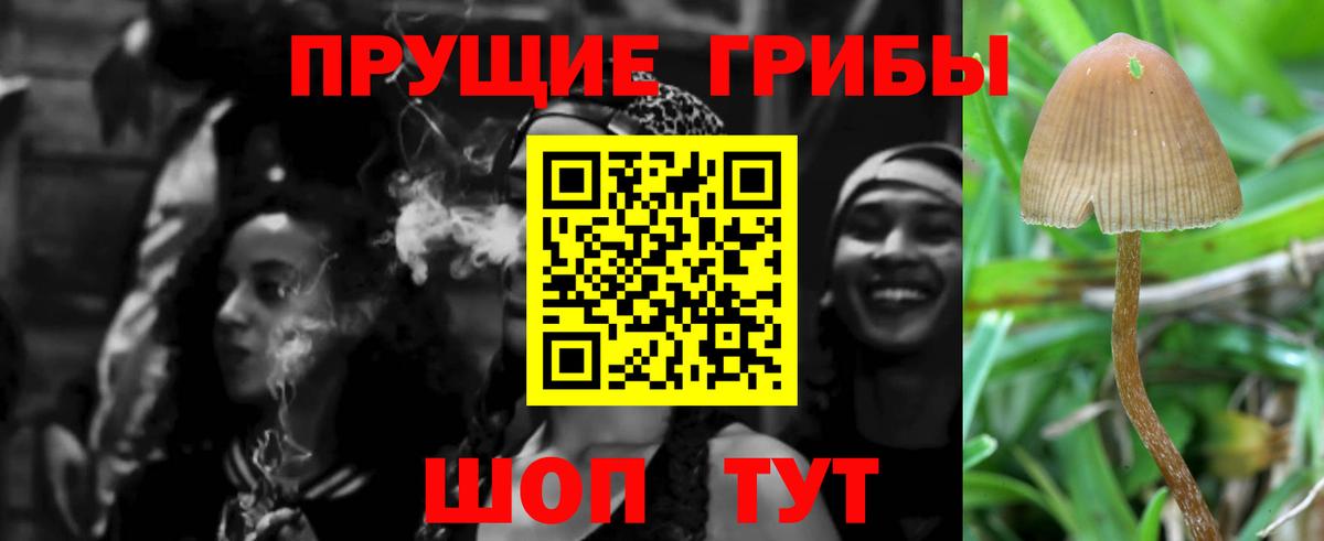 Псилоцибиновые грибы Magic Shrooms  Галлюциногенные грибы мухоморы  Вход с VPN  Снежинск 